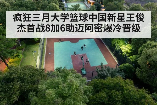chinese basketball player